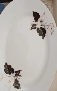 دیس غذا خوری دو عدد