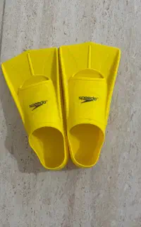 فین شنا