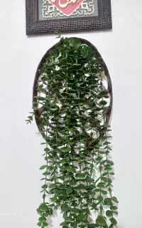 دکوری دیوار کوب