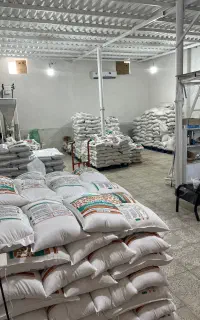 عرضه عمده برنج ایرانی