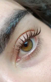تخفیف اکستنشن مژه و لیفت مژه و ابرو