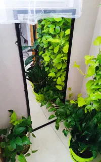 ایینه قدی