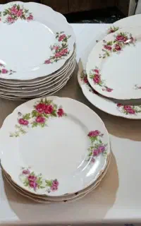 چینی گل قرمز