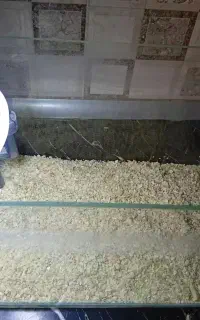 آکواریوم