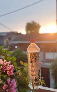 عرق بهار نارنج