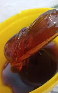 اپیلاسیون تخصصی ویژه بانوان