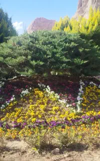 مشاوره تخصصی خدمات باغبانی و فضای سبز
