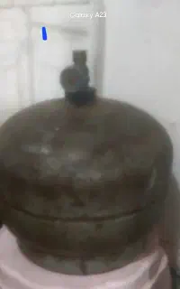 فروش یک عدید پیک نیک سالم مهره کوچک