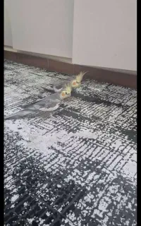 ۲۸۰۰۰۰۰