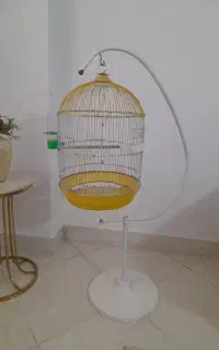 قفس پرنده