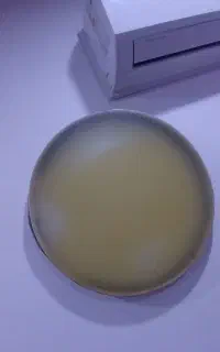 دف قدیمی