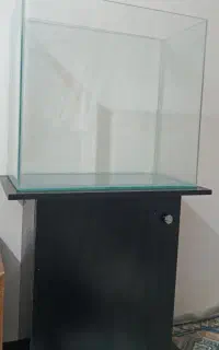 آکواریوم شیشه خم شرکتی