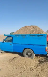 فروش کود مرغ گوشتی خشک