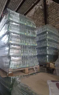 لیموناد شیشه ای زمزم