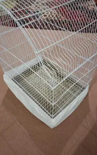 قفس پرنده