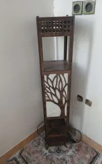 آباژور نو سالم