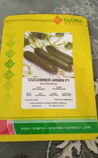 بذر خیار گلخانه ای