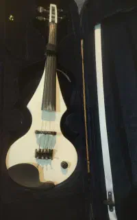 ویلن  madis