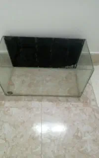 اکواریم و پمپ تسویه و خاک تسویه