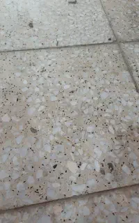 شست‌وشو و نظافت