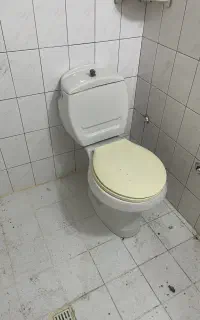 دستشویی فرنگی