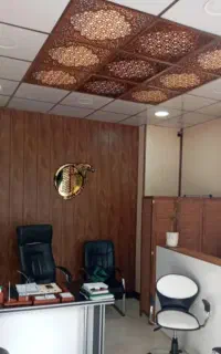 منشی خانم