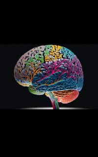 انجام پروژه های برنامه نویسی و تایپ و ترجمه