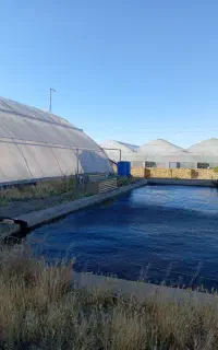 کارگر کشاورزی خانوادگی با اسکان