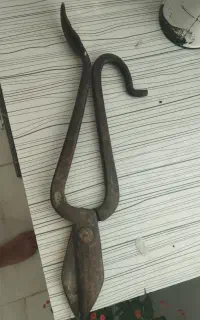 قیچی ورق بر