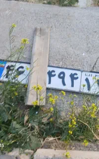 گمشده