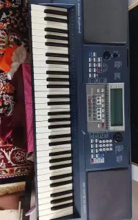 ارگ در حد