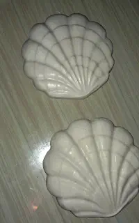 مجسمه دکوری صدف