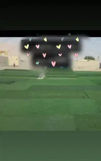 اجاره چمن مصنوعی دکور عروسی  گل ماشین