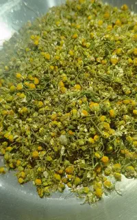 بابونه پاک شده درجه یک