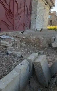 مرغ گلین