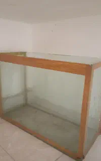 آکواریوم