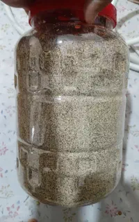 بذر سفید و سیاه