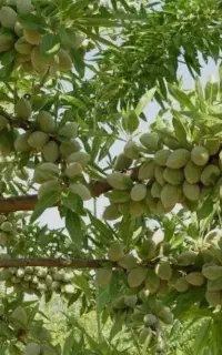 تناژ4برابری میخواهی تماس بگیر
