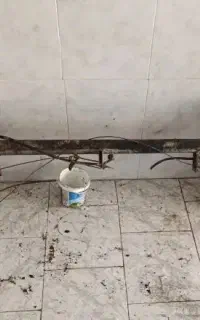 اکسل پراید