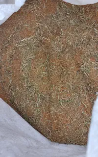 خاکشیر