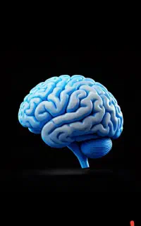 تدریس زبان انگلیسی و ریاضی ابتدایی