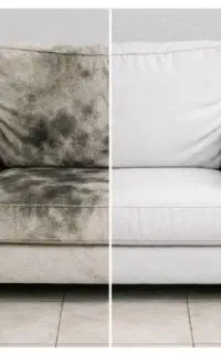 مبل شویی آقای مبل..