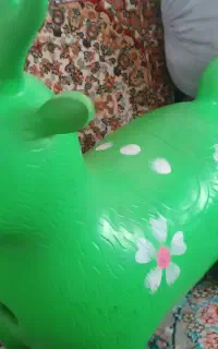 اسب بادی