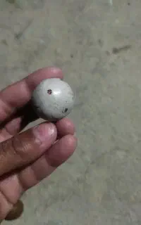 سنگ