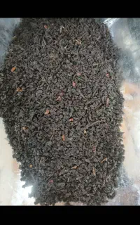 چای بهاره و تابستانه ۱۴۰۵ به قیمت کارخانه