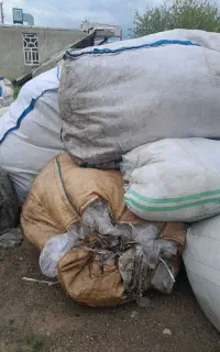 استخدام نیروی خانم