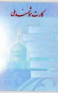 مدارک و کارت گمشده به نام صمدی