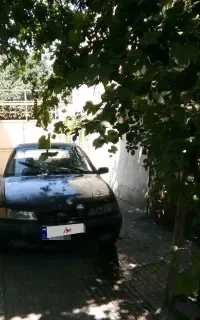 دوو سیلو مدل 81