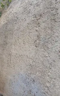سیمانکارم