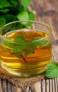 آموزش طب سنتی و درآمد زایی